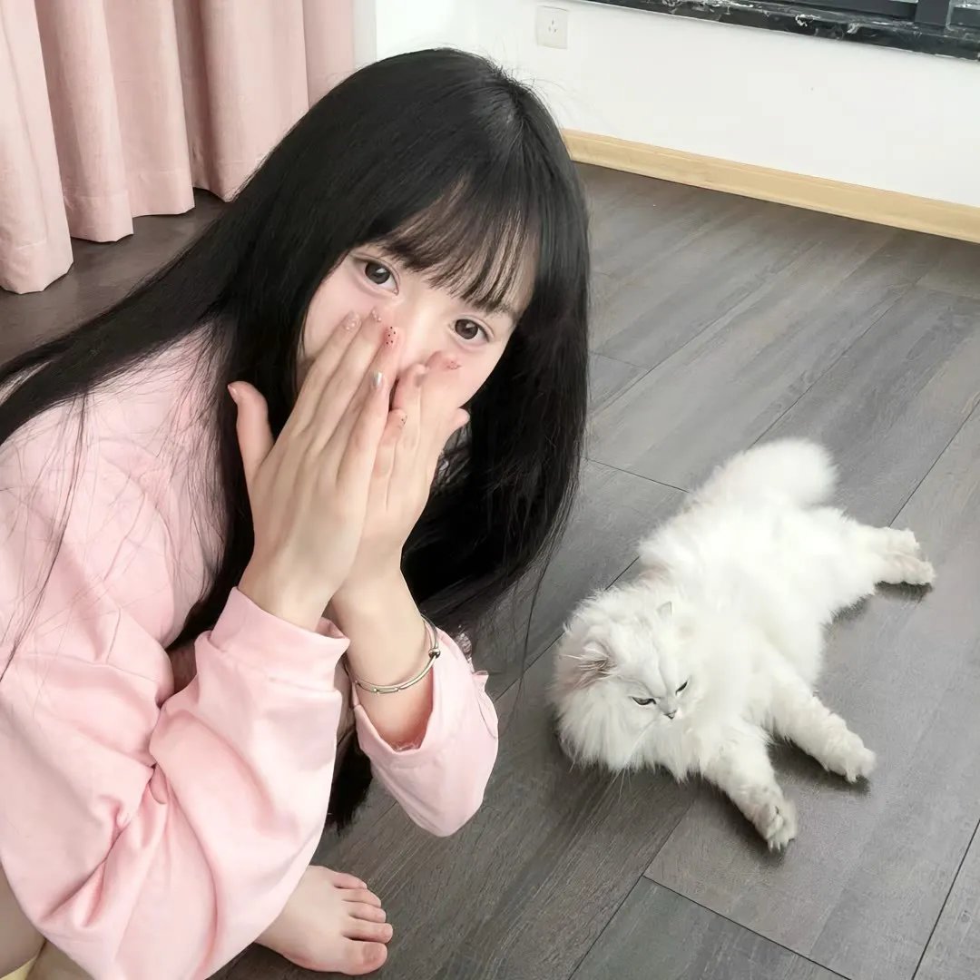 街上无树